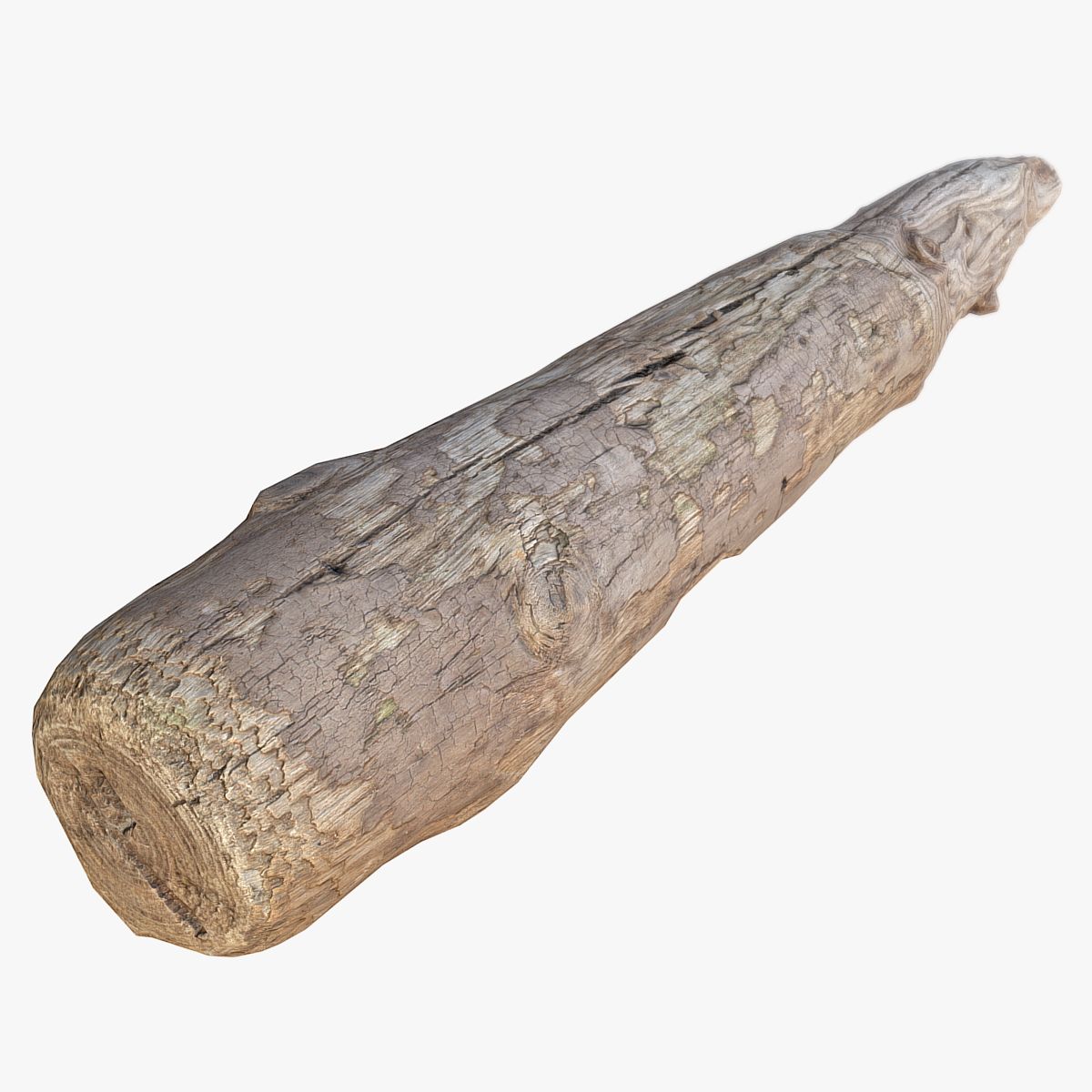 Wood Log 3d model