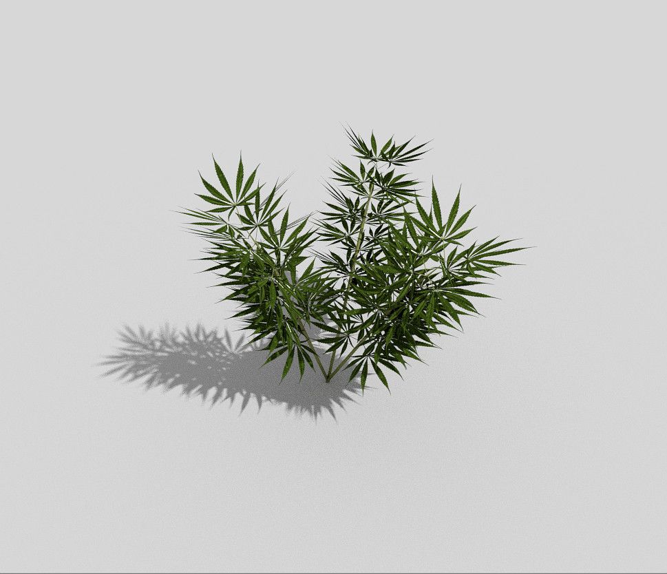 pot plant 3d model