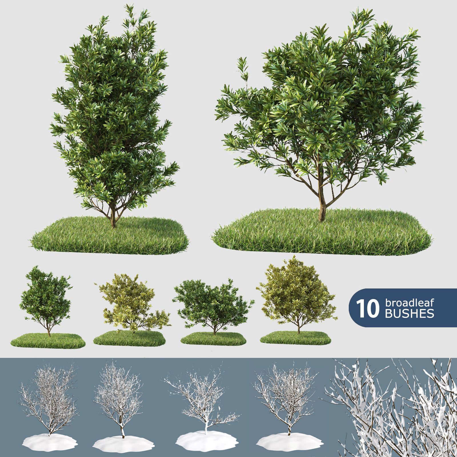 Broadleaf 10 Bushes (+GrowFX) 3d model