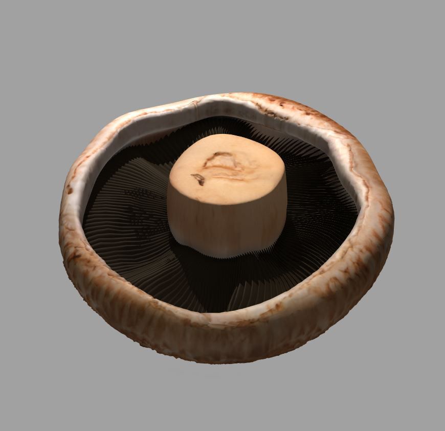 Champignon réaliste royalty-free 3d model - Preview no. 7