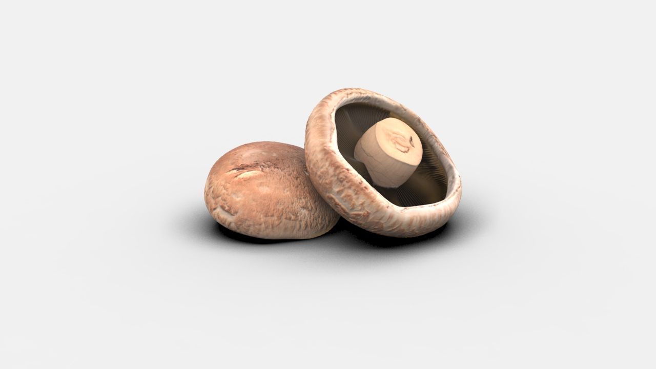 Champignon réaliste 3d model