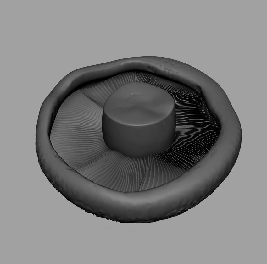 Champignon réaliste royalty-free 3d model - Preview no. 6