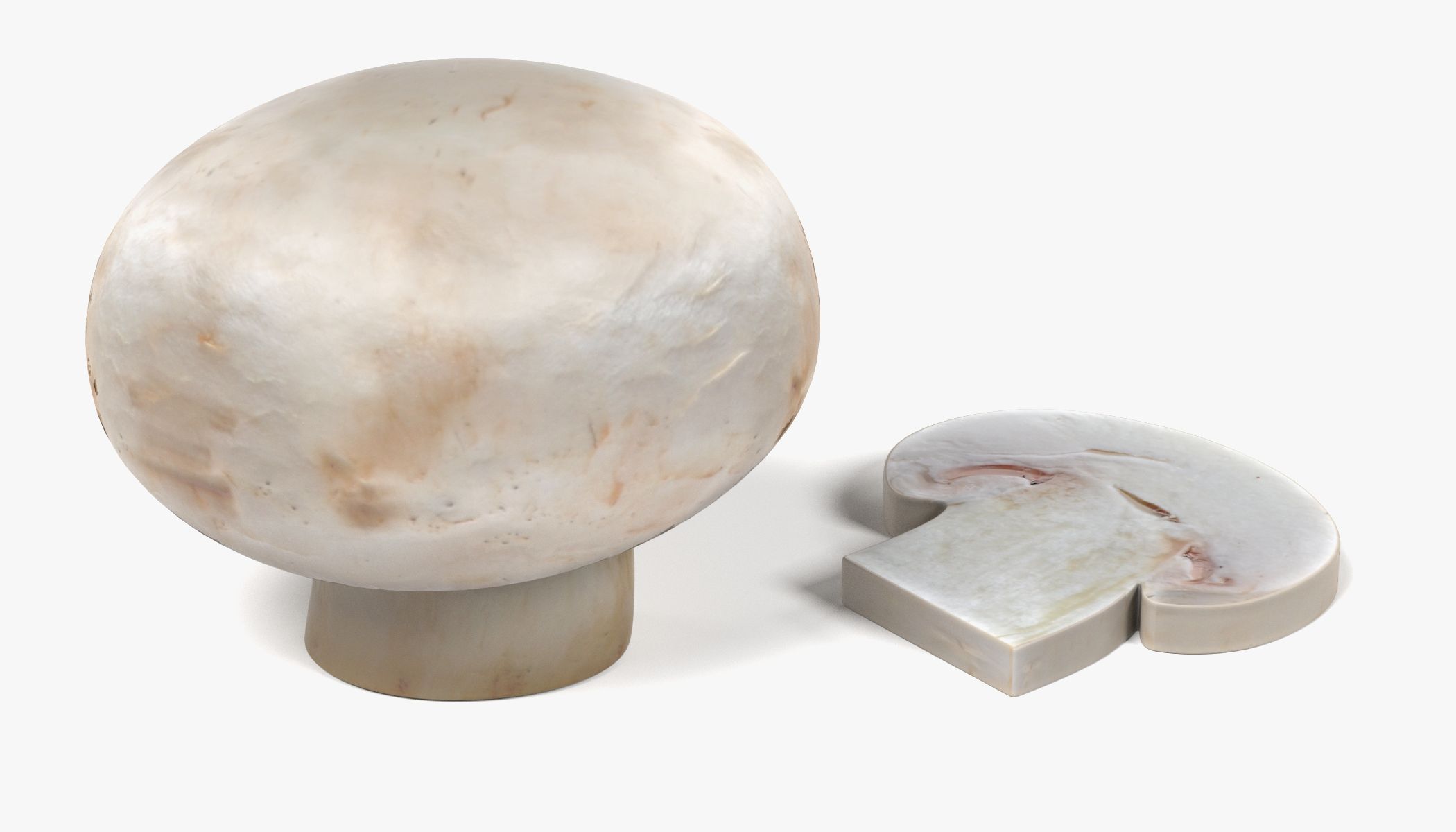 Champignon 3d model