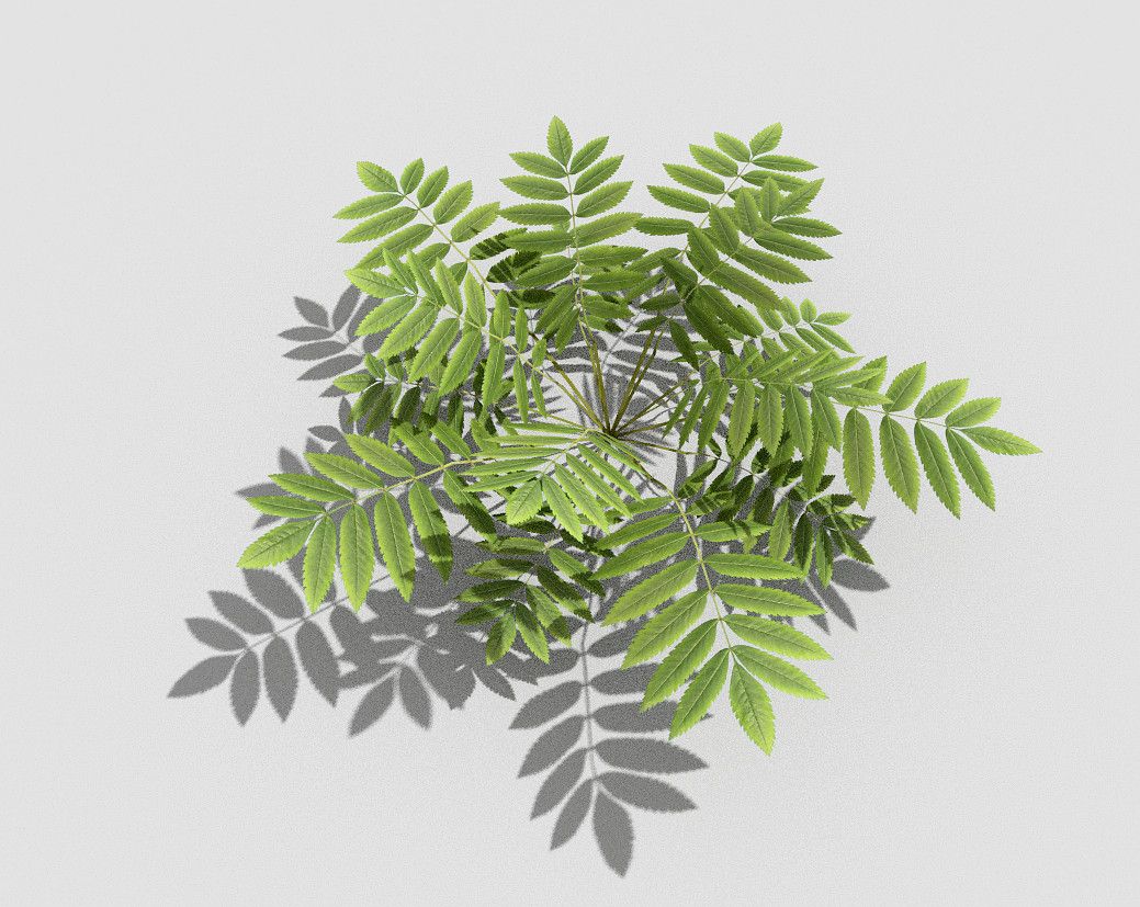 plant 3d model