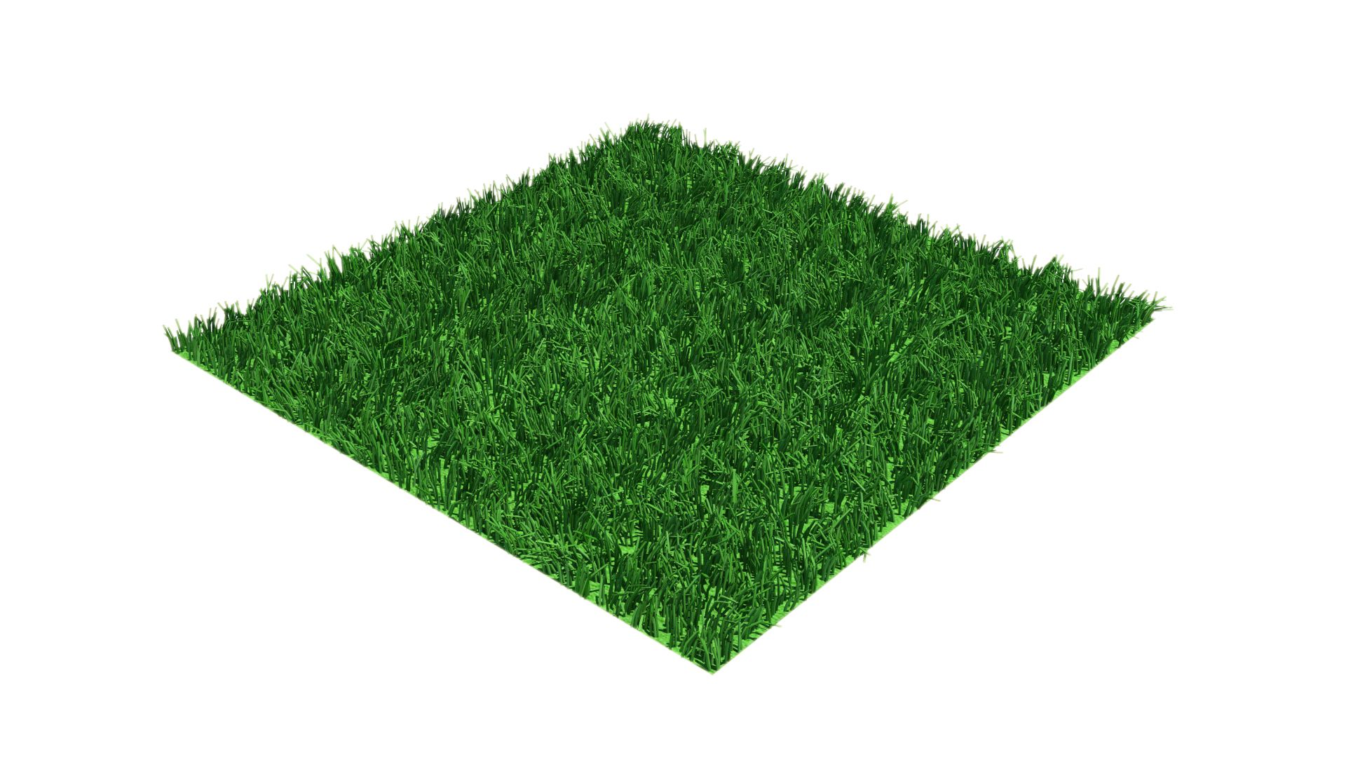 grass multi royalty-free 3d model - Preview no. 2