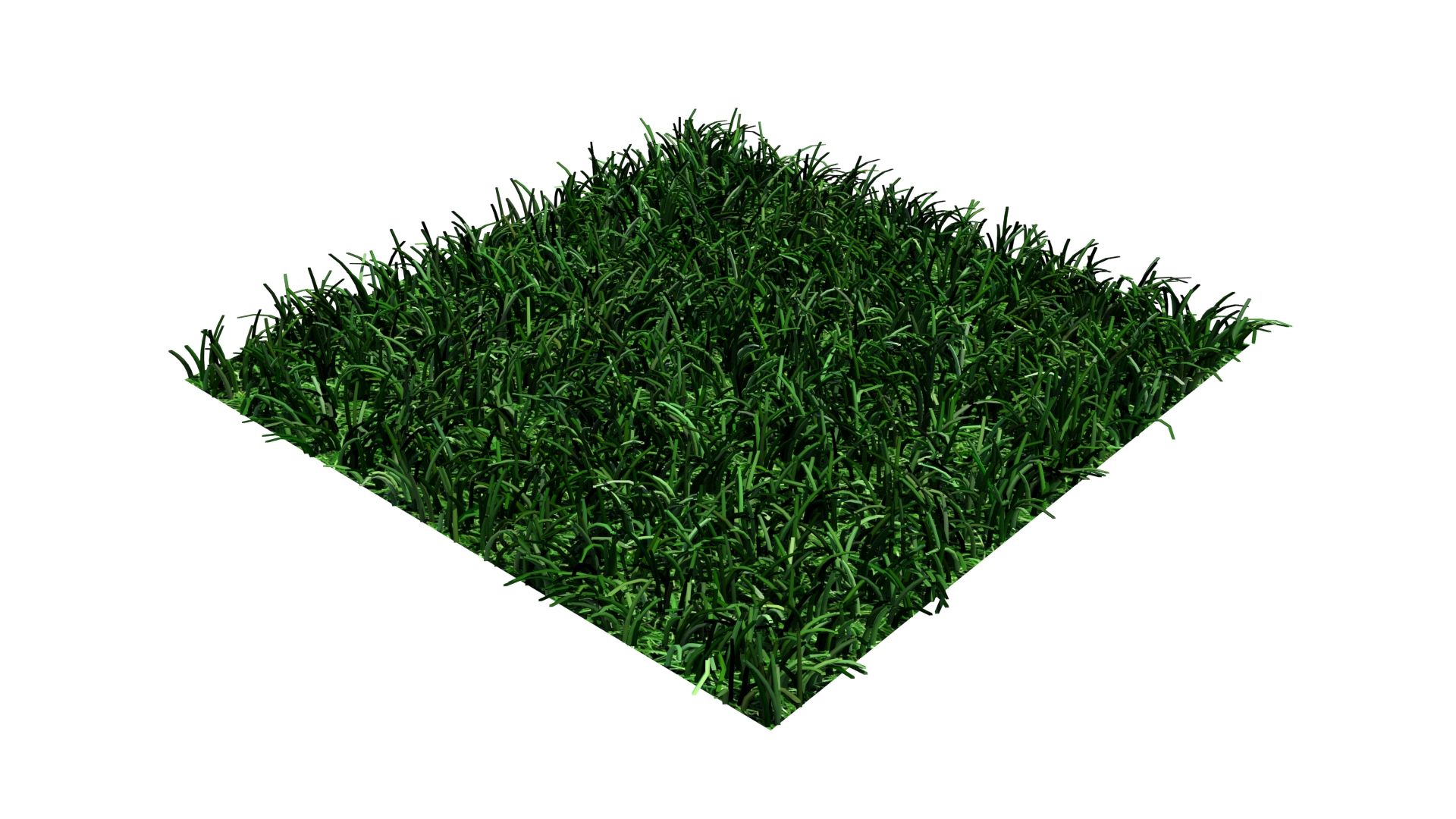 grass multi royalty-free 3d model - Preview no. 3