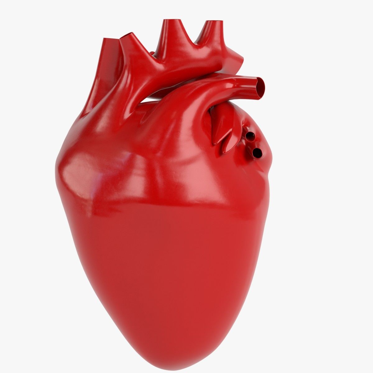 Anatomie - Coeur humain stylisé 3d model