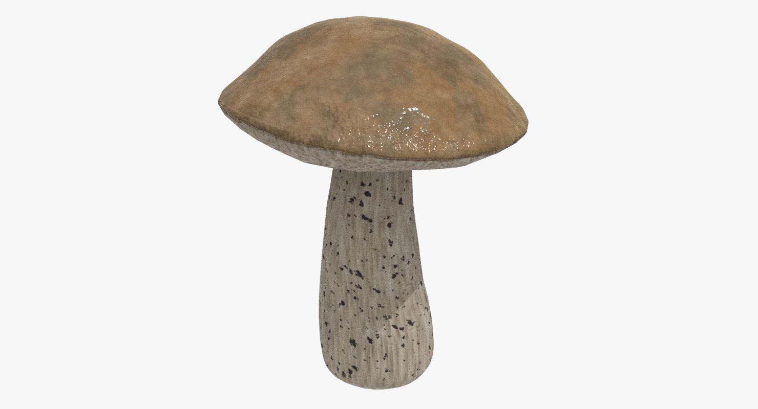 Champignon royalty-free 3d model - Preview no. 2