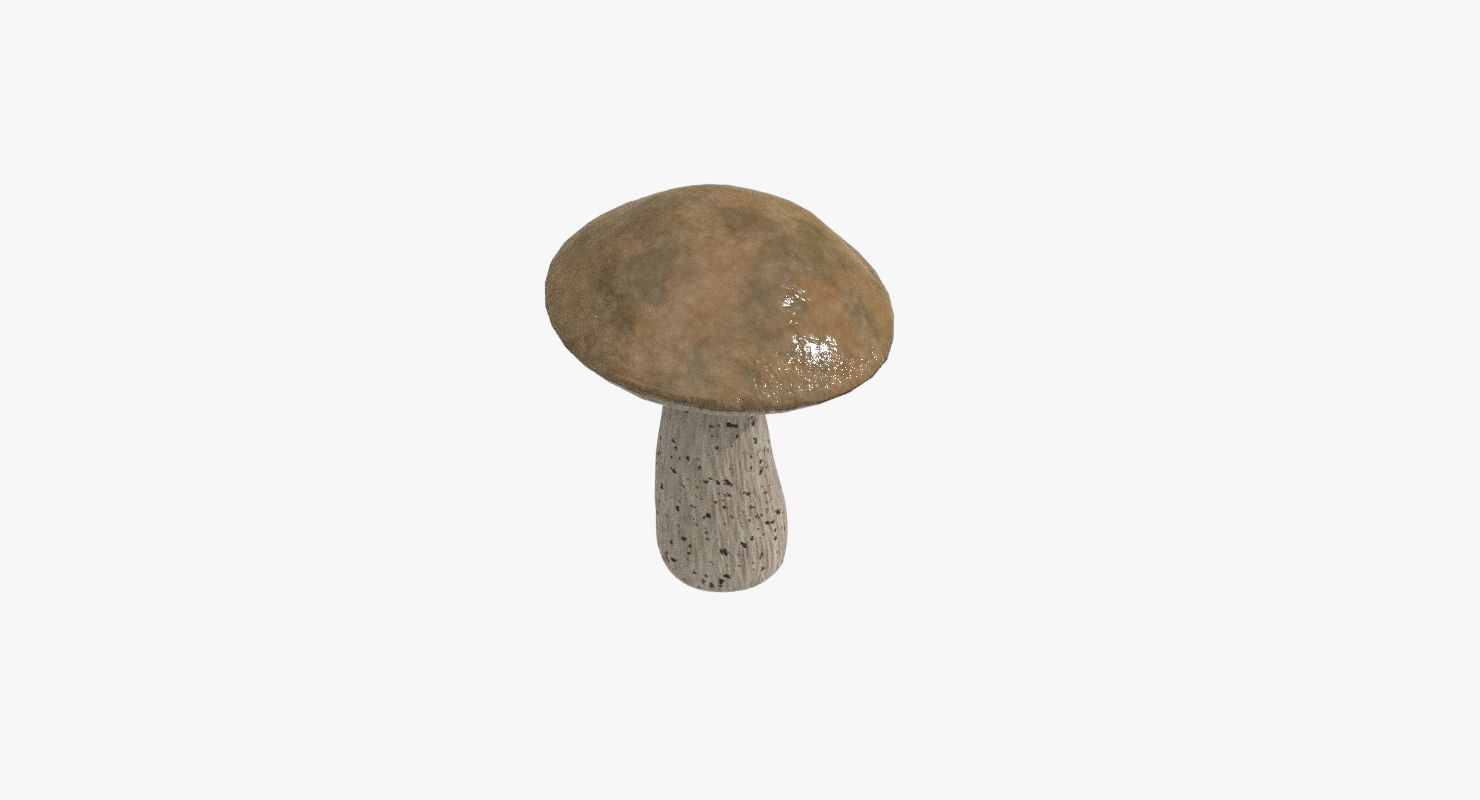 Champignon royalty-free 3d model - Preview no. 4