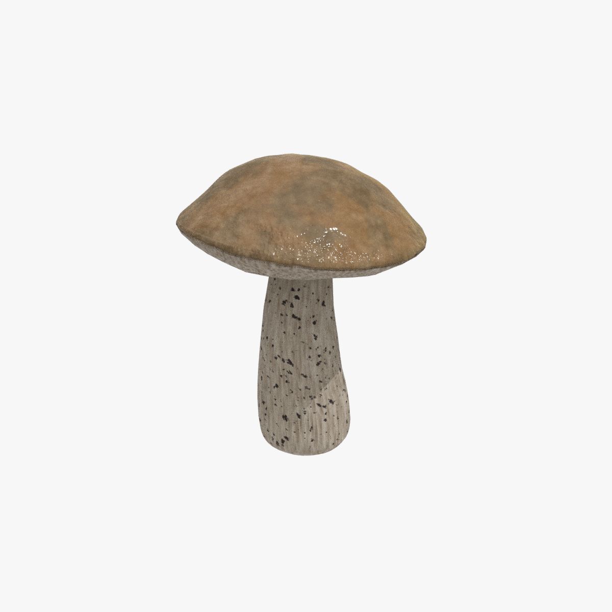 Champignon 3d model