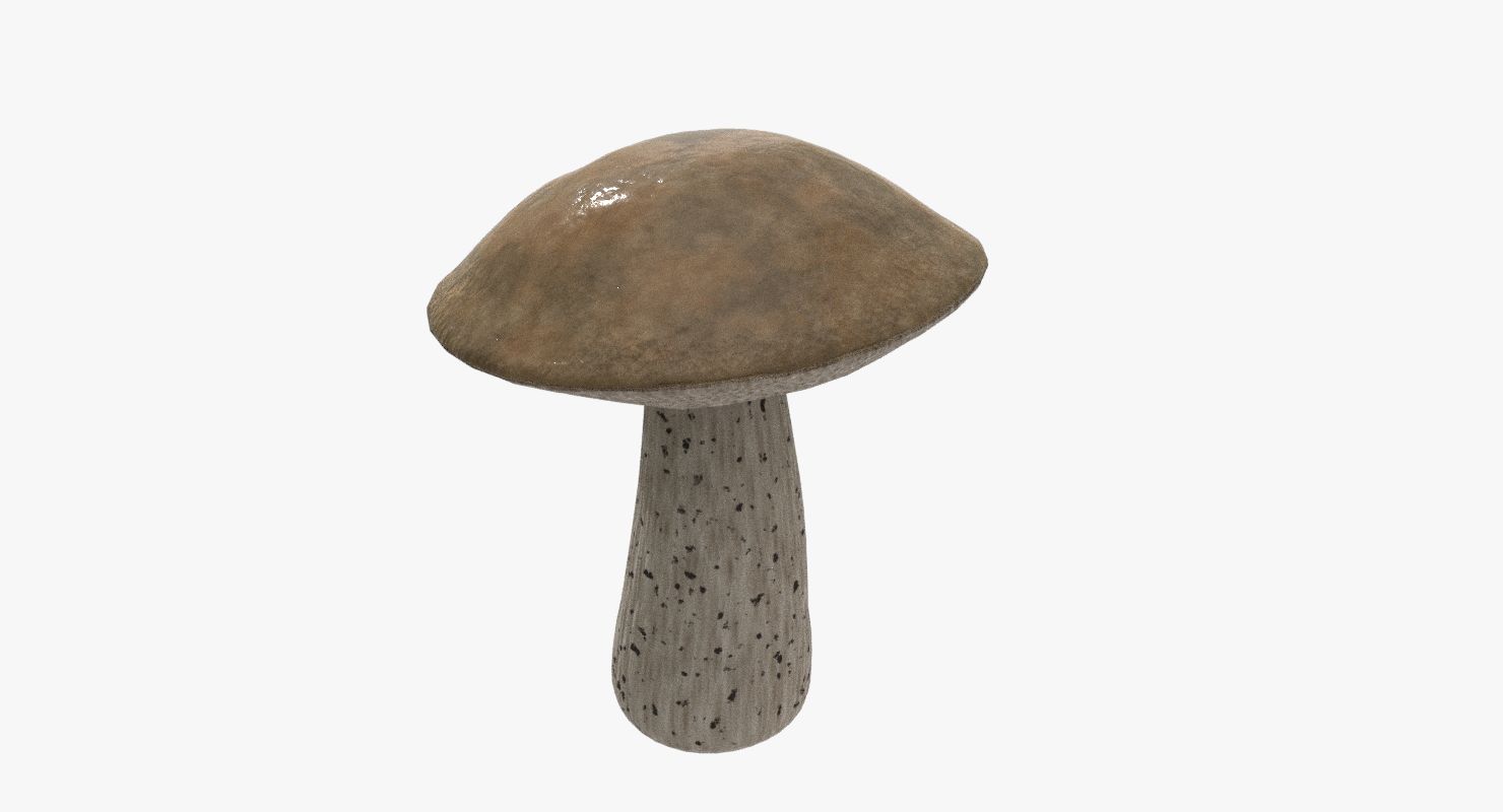 Champignon royalty-free 3d model - Preview no. 7