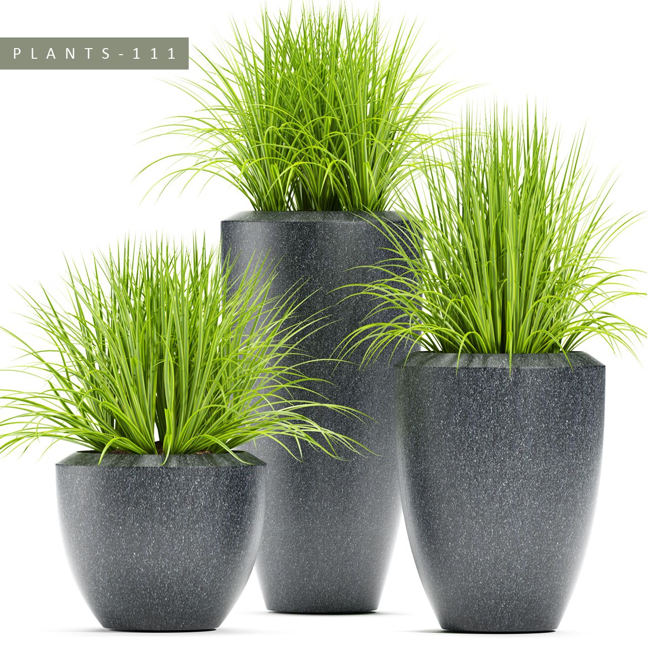 grass plants 111 3d model