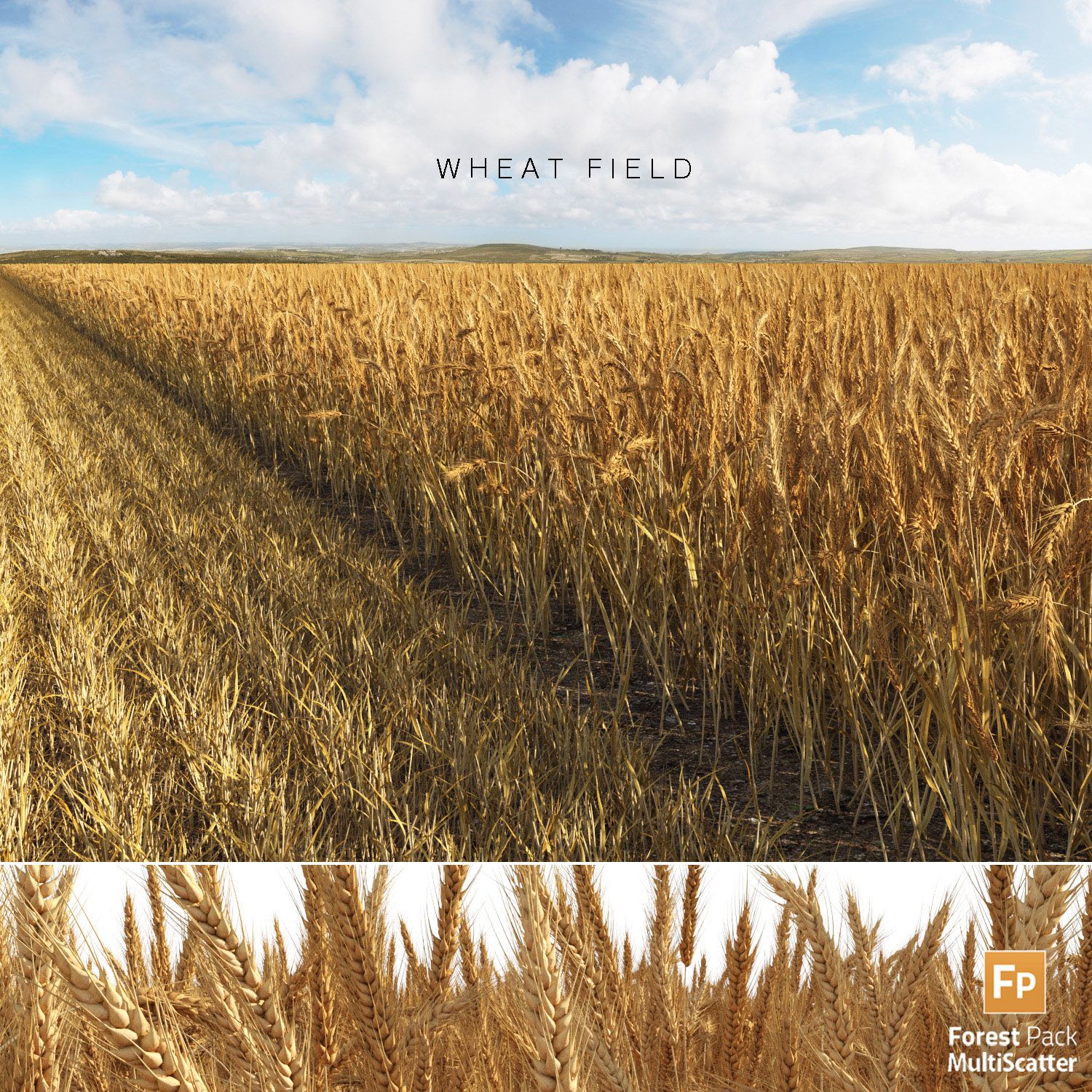 Wheat Field (+GrowFX) 3d model