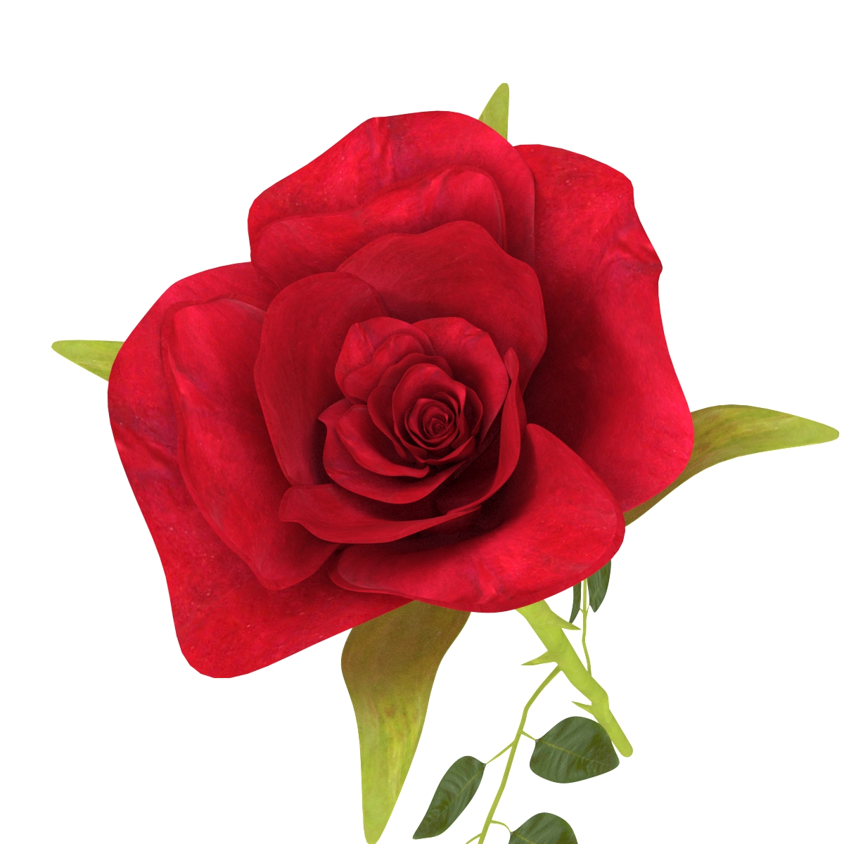 Rose red 3d model