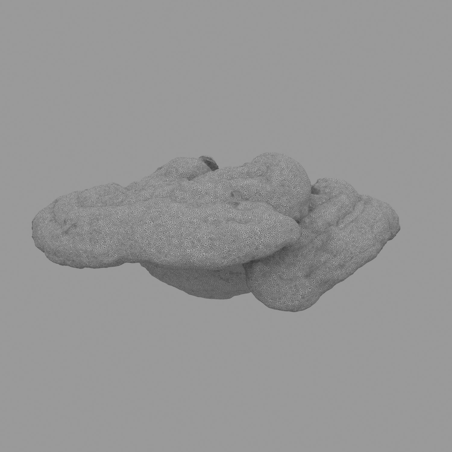 Champignon 17 royalty-free 3d model - Preview no. 13