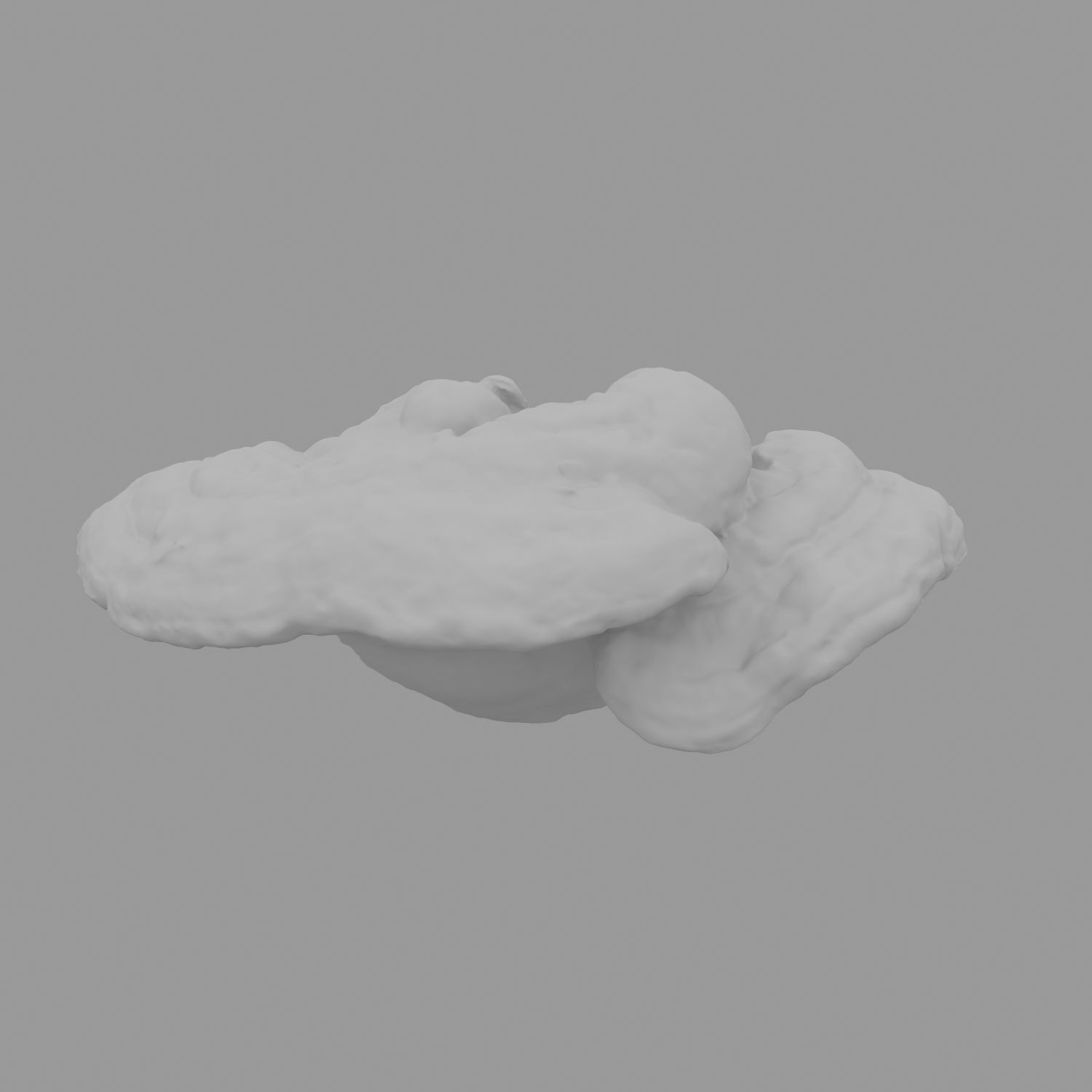 Champignon 17 royalty-free 3d model - Preview no. 9