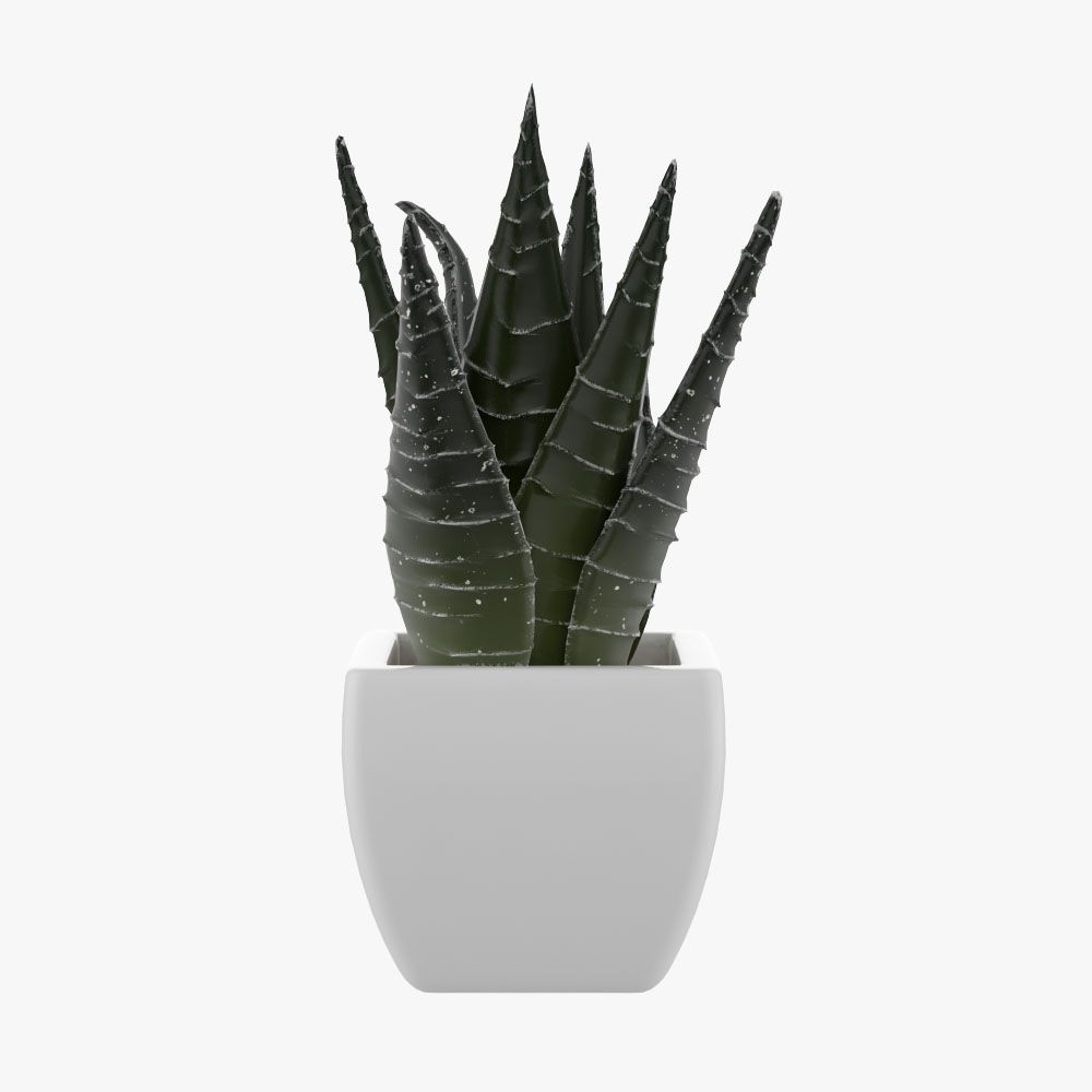 Pot Plant 3d model