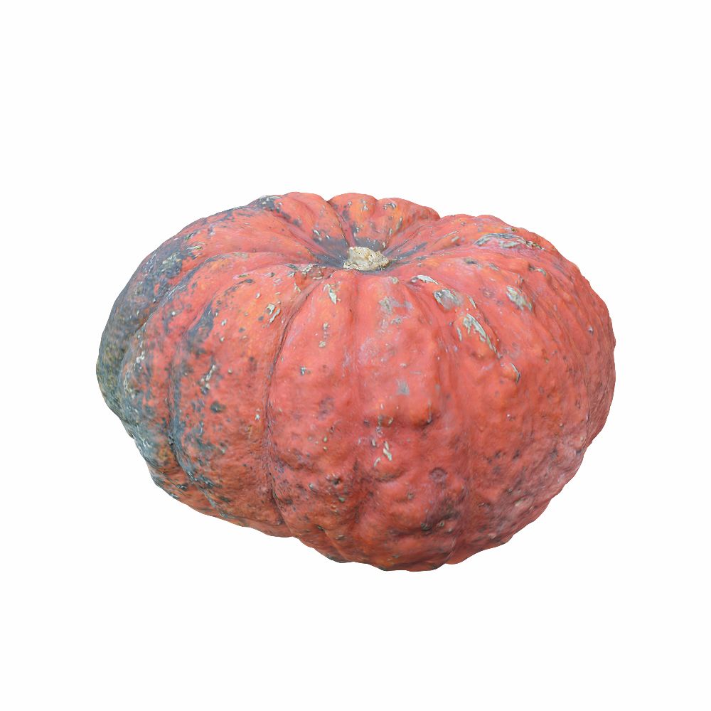 Calabaza (4) modelo 3d