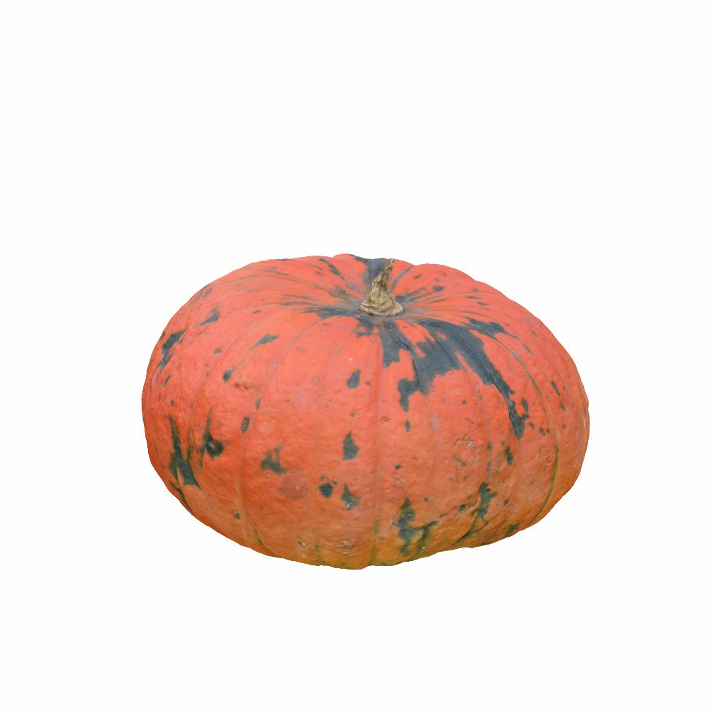 Calabaza (6) modelo 3d