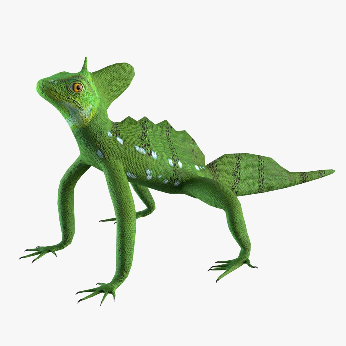 Lagarto basilisco modelo 3d