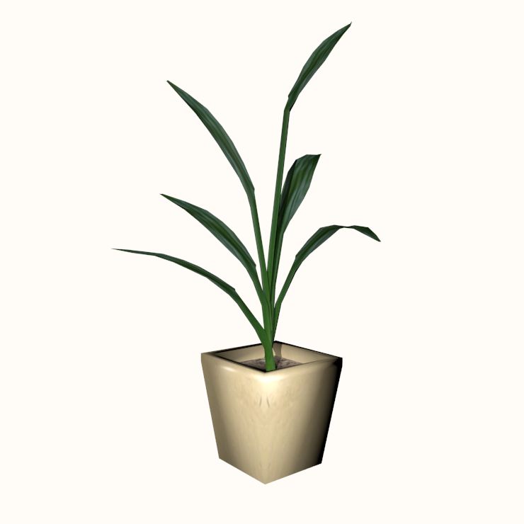 Indoor Plant v1 3d model