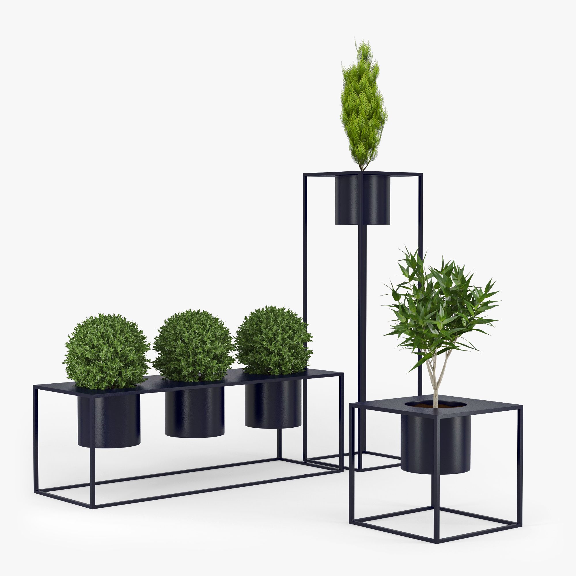 Box plant 3d model