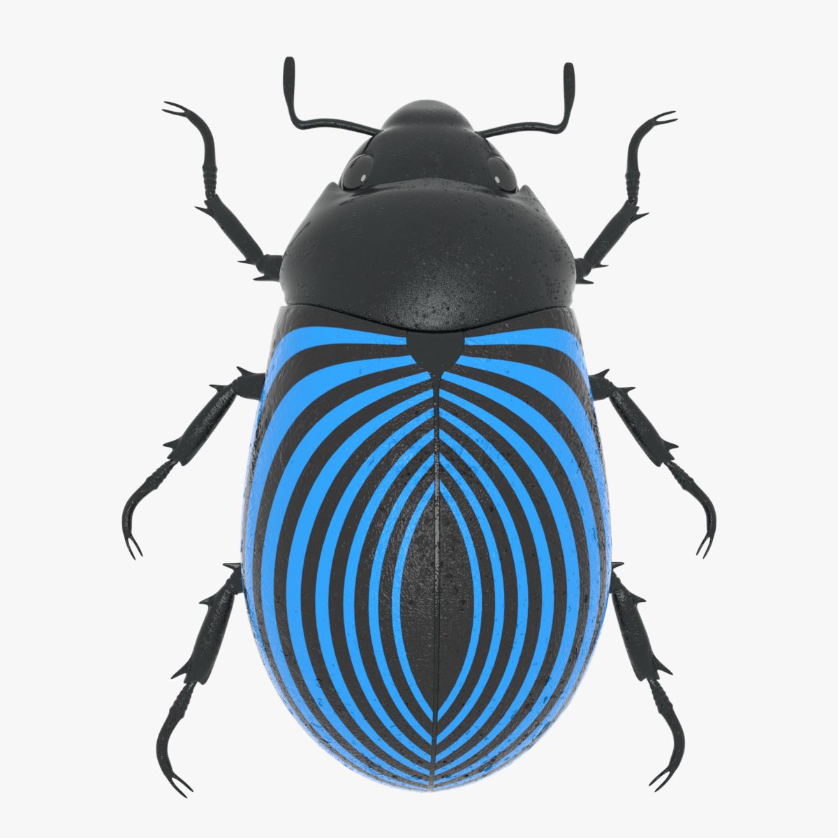 Scarab  Beetle 3d model