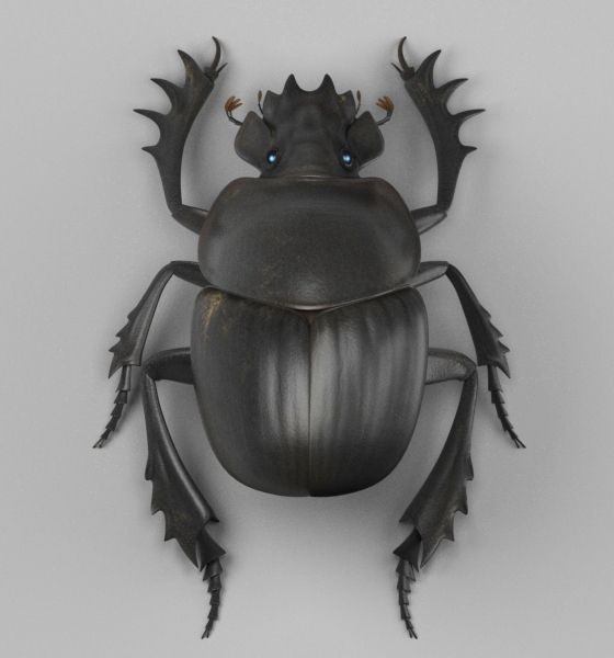 Dung Beetle 3d model