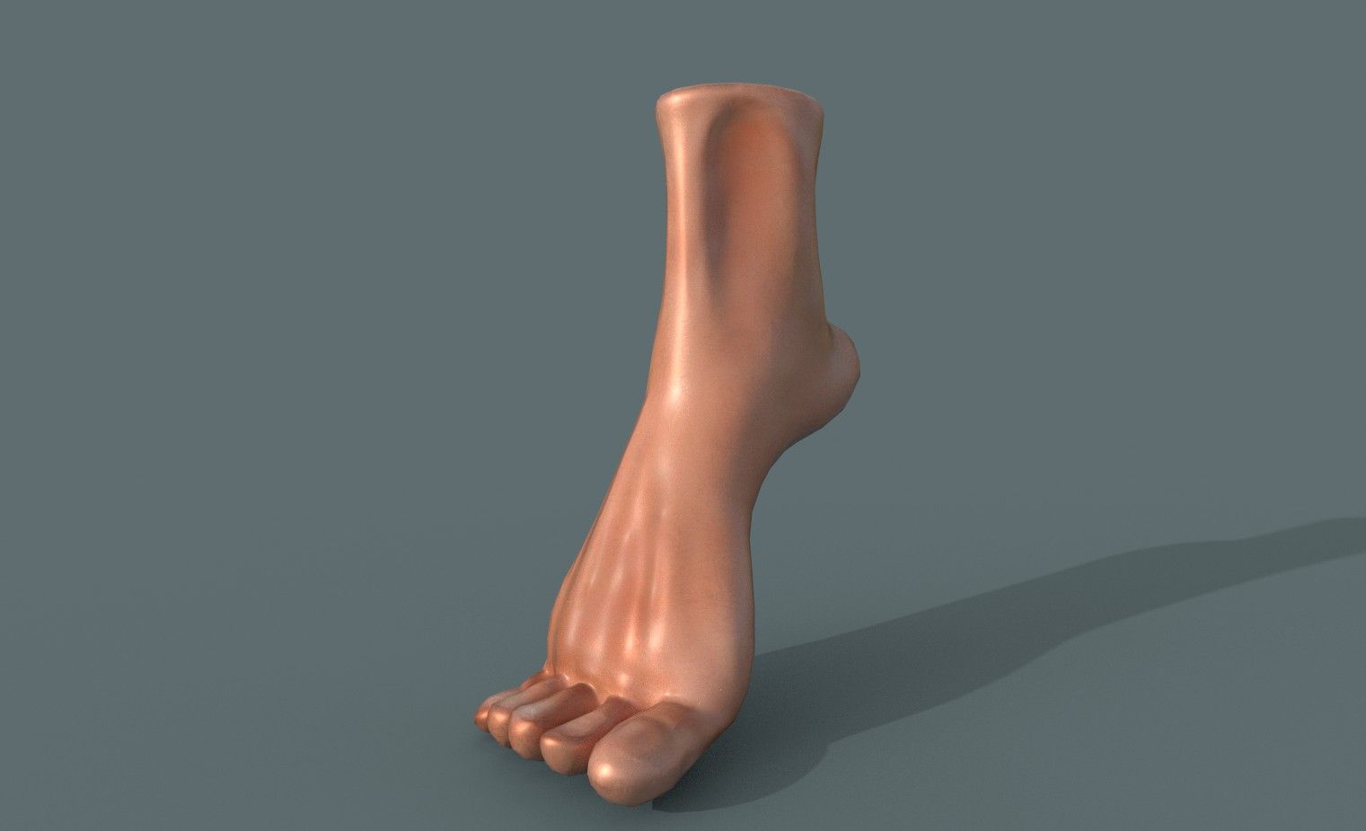 Fot 3d model