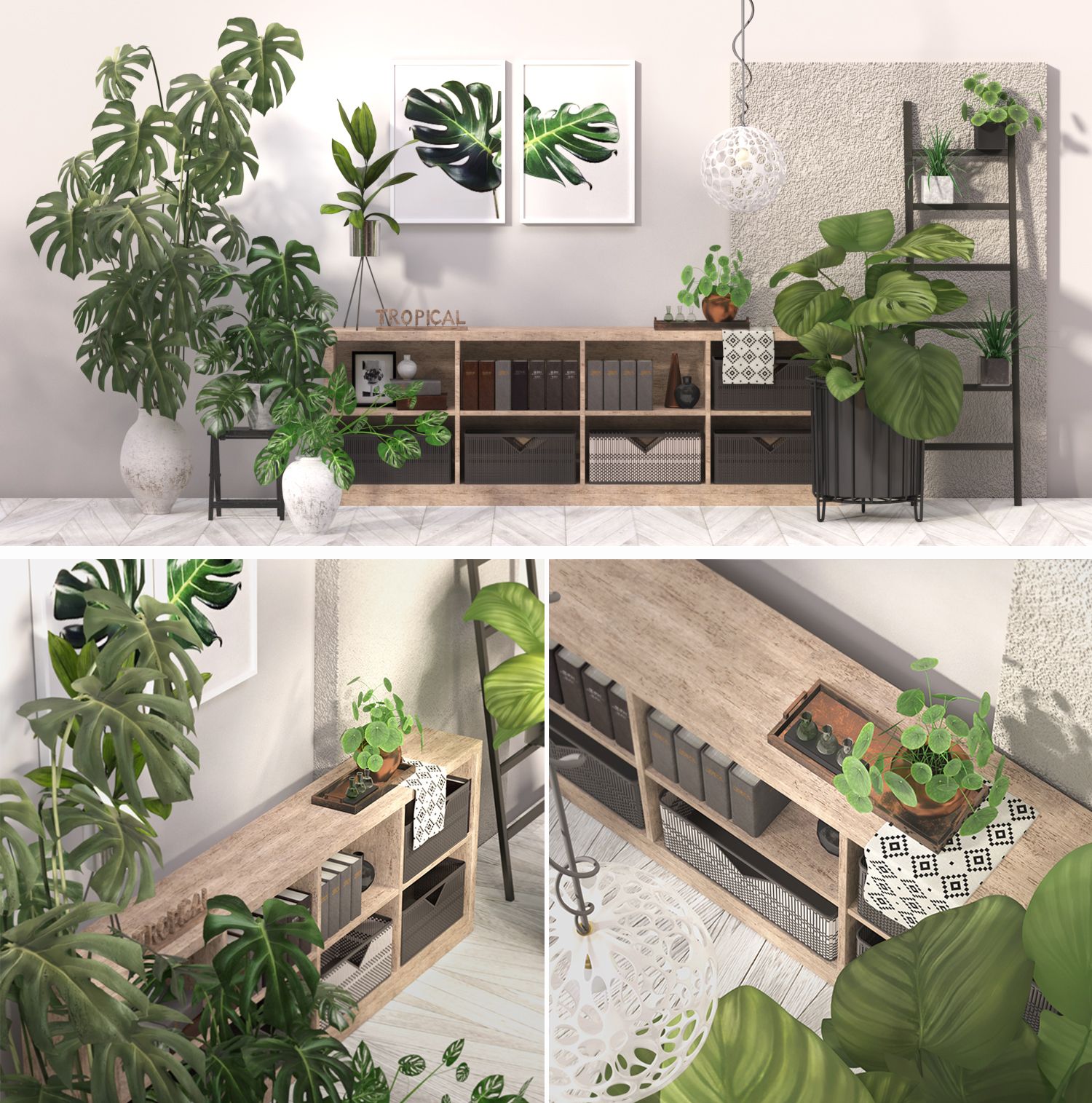 Indoor plant collection 3d model