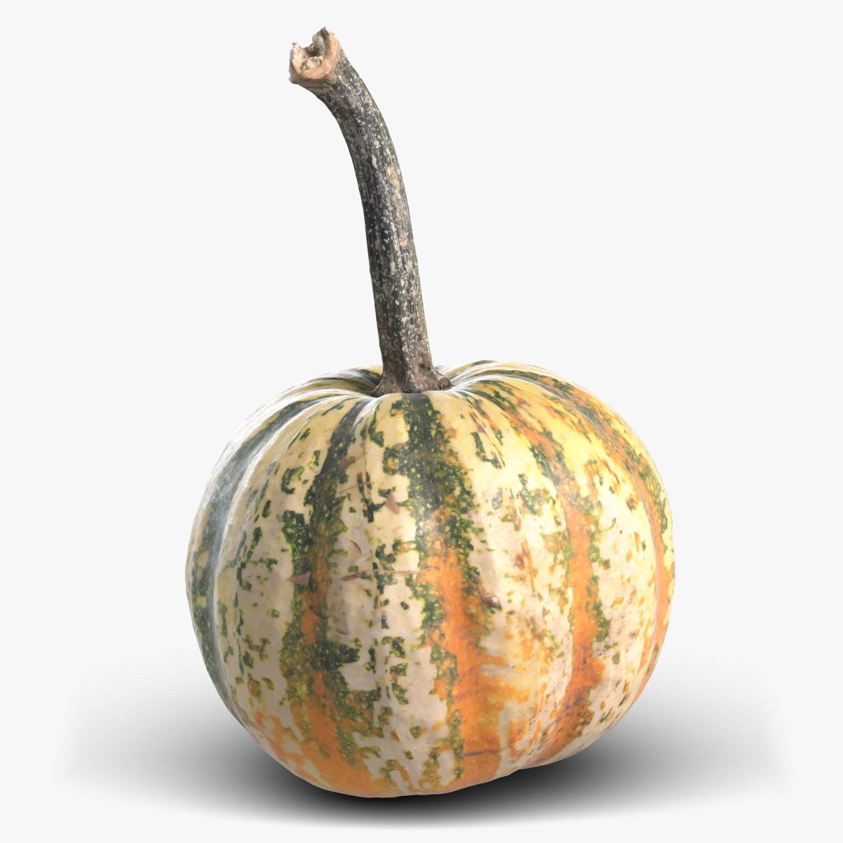 Calabaza 7 modelo 3d