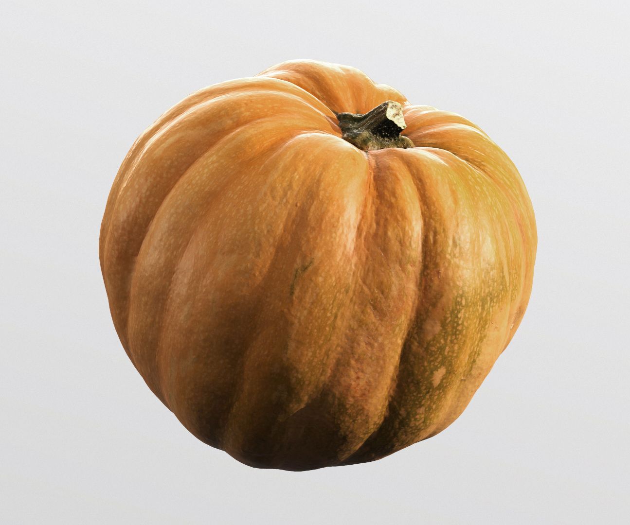 Calabaza, modelo high polly, # 7 modelo 3d