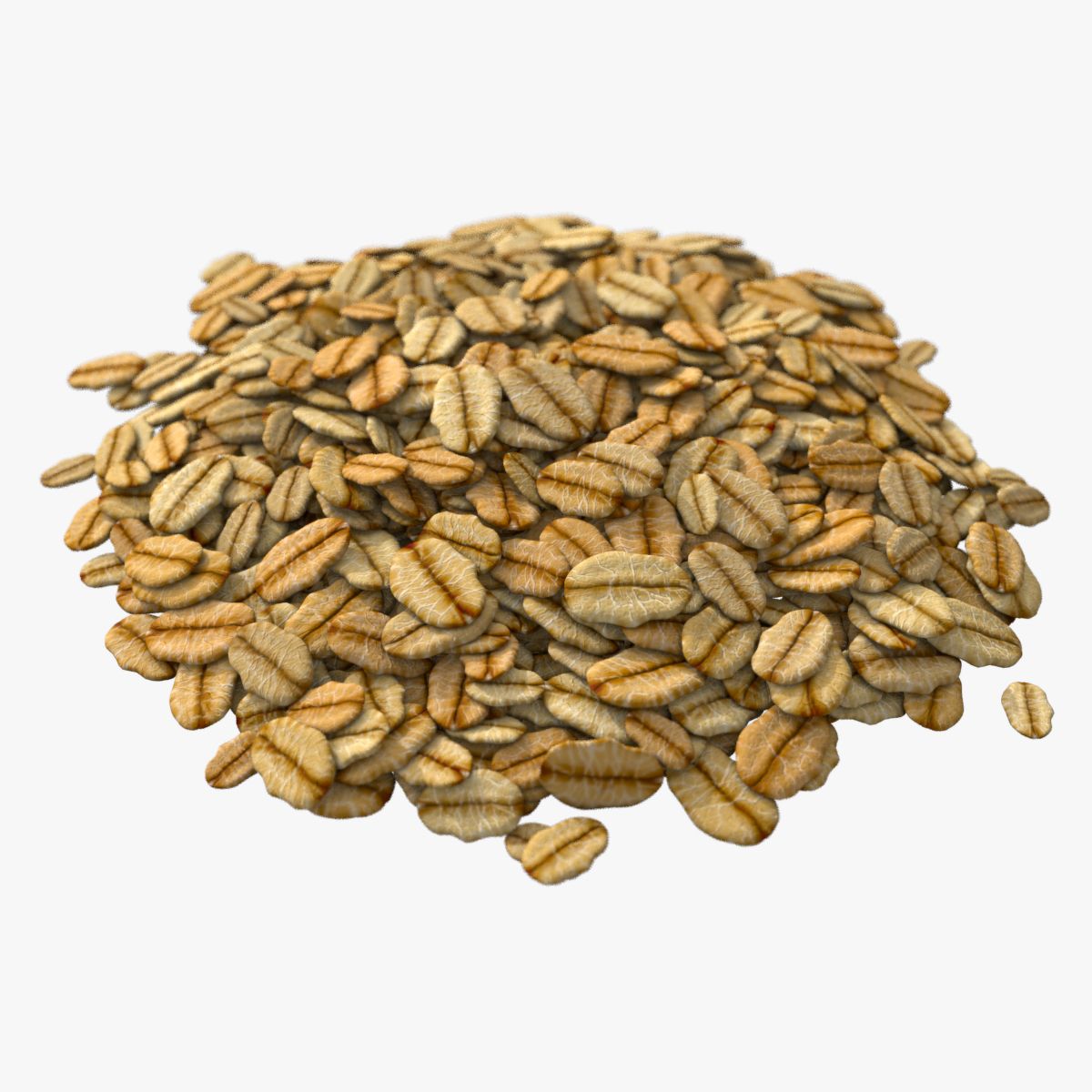 Flaked Oat 3d model