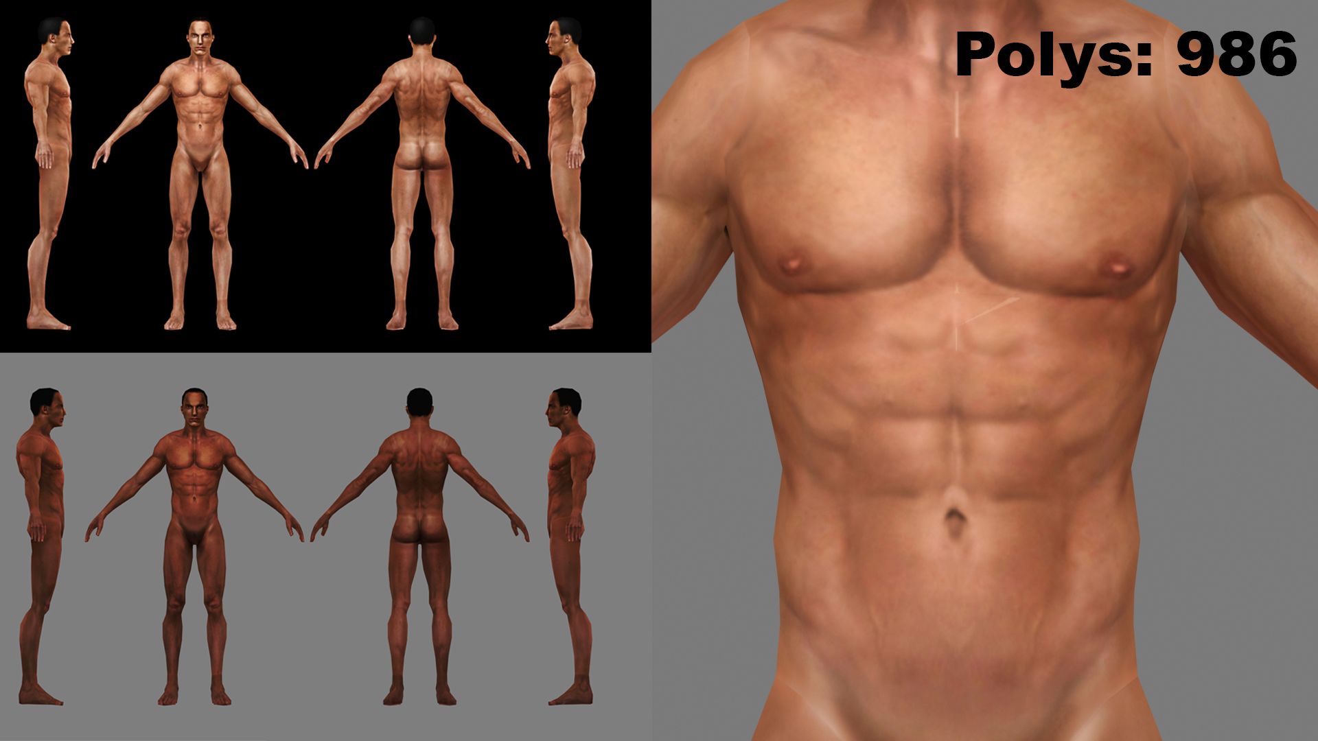 Base Mesh Male modelo 3d