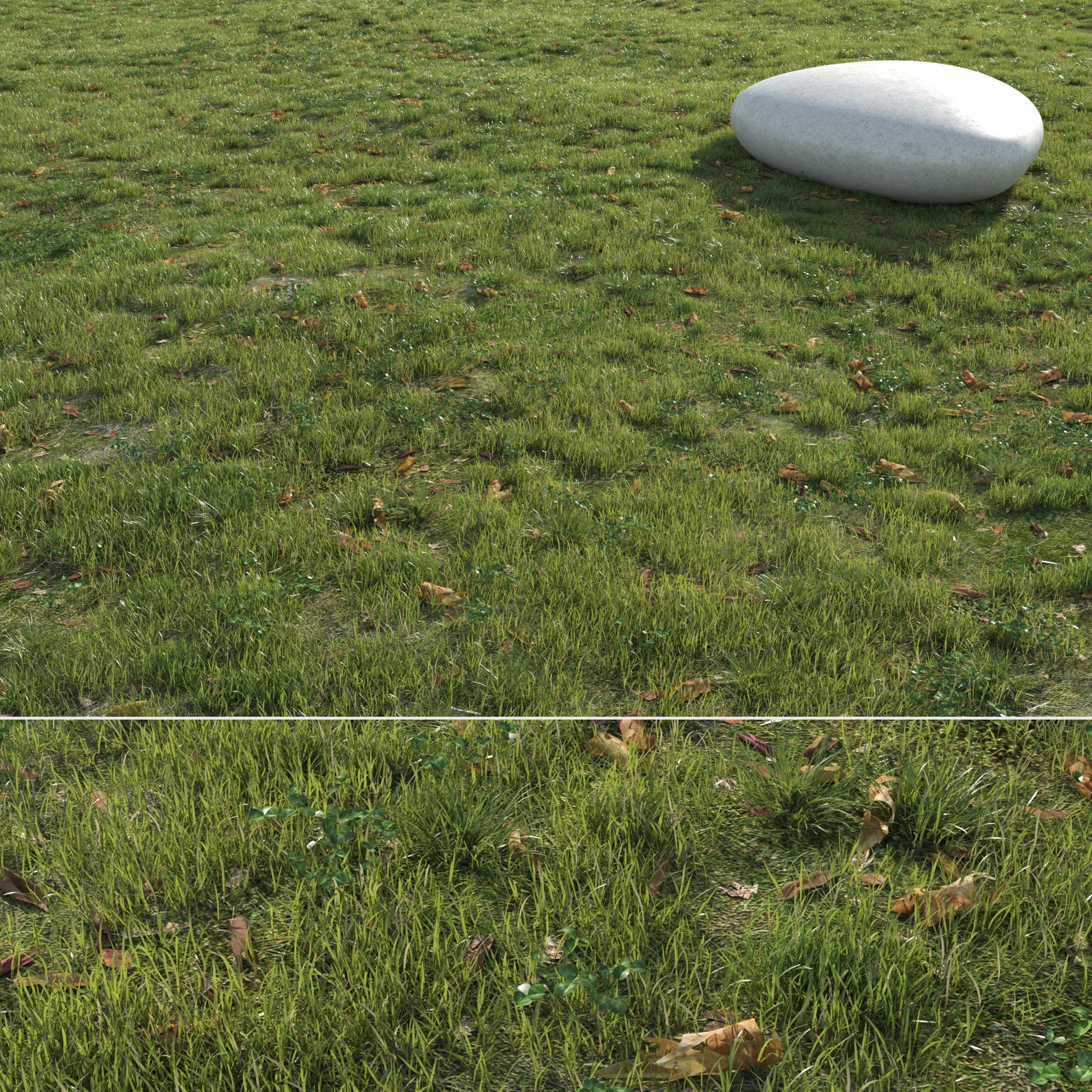 Field Grass 3d model