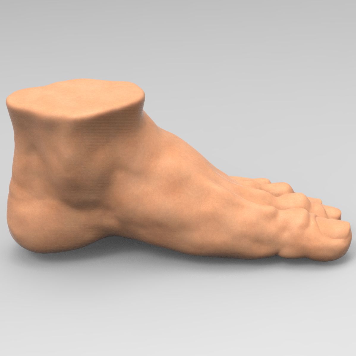 pie modelo 3d