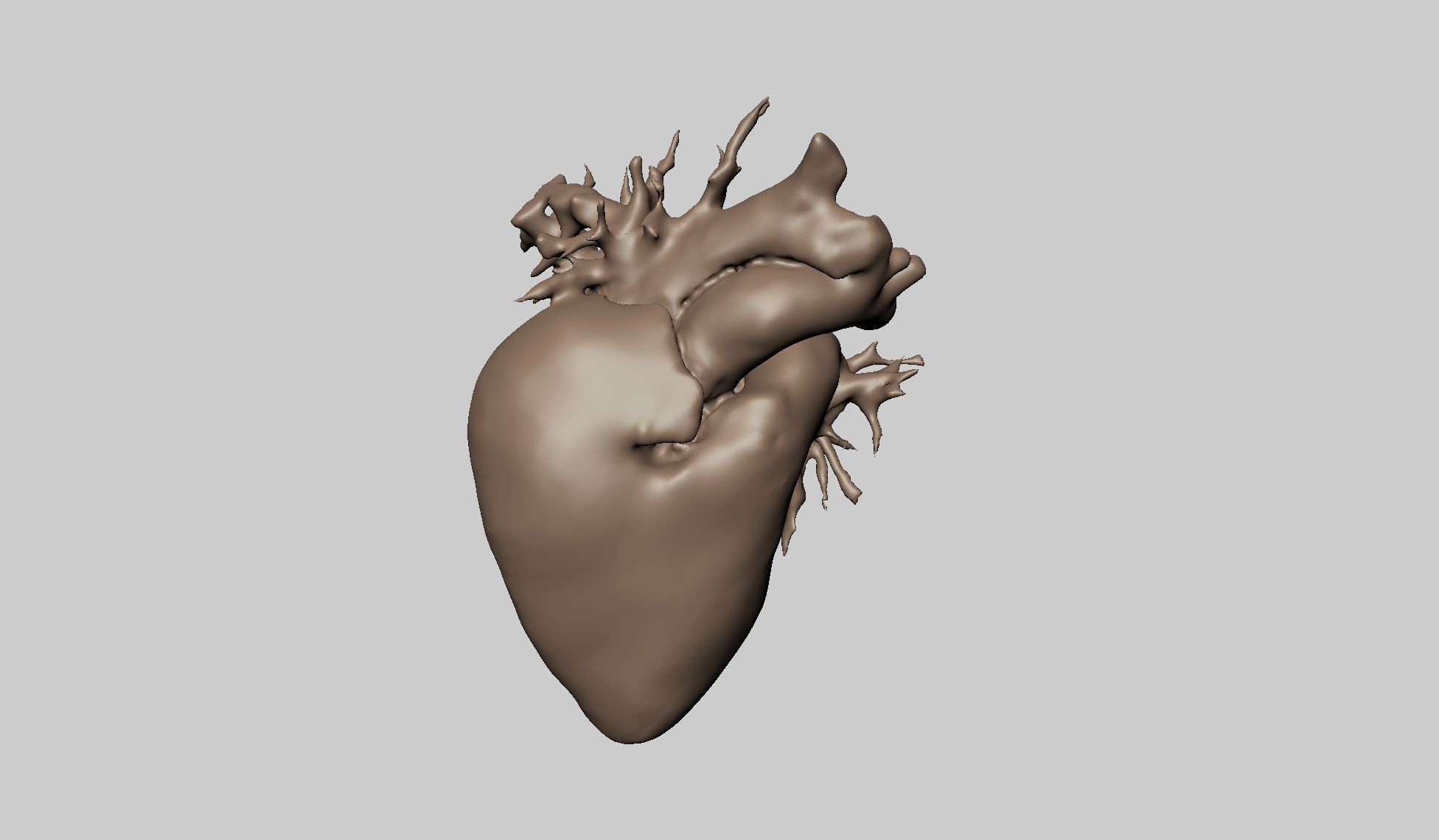 Coeur humain 3d model