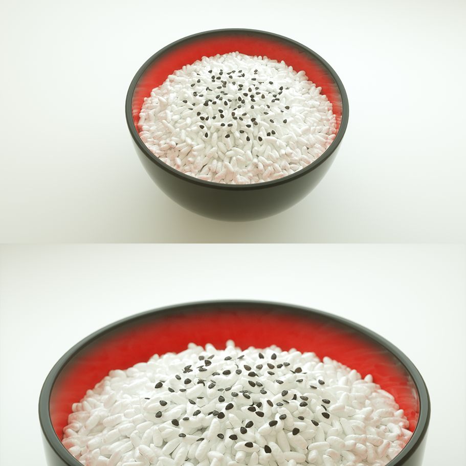 Rice 3d model