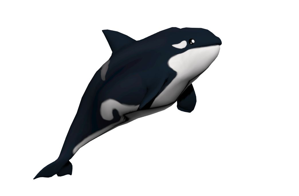 Orca 3d model