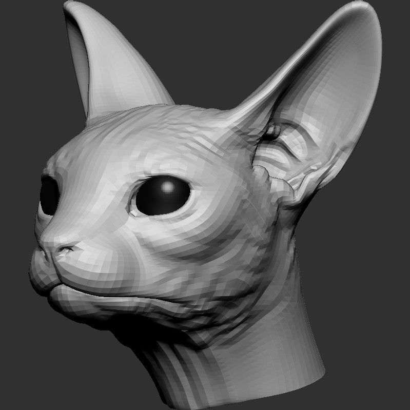 Base de cabeza de gato Sphynx modelo 3d