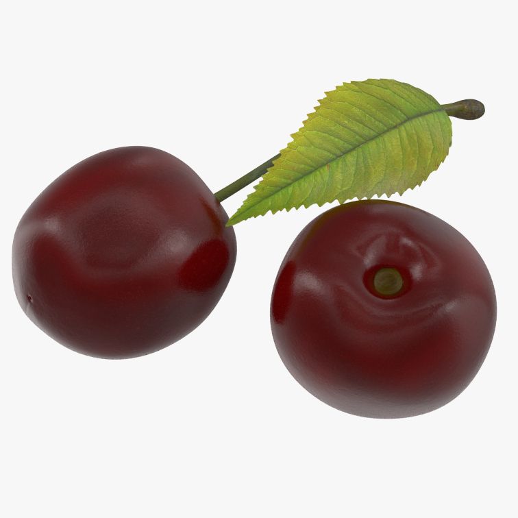 Cerises 3d model