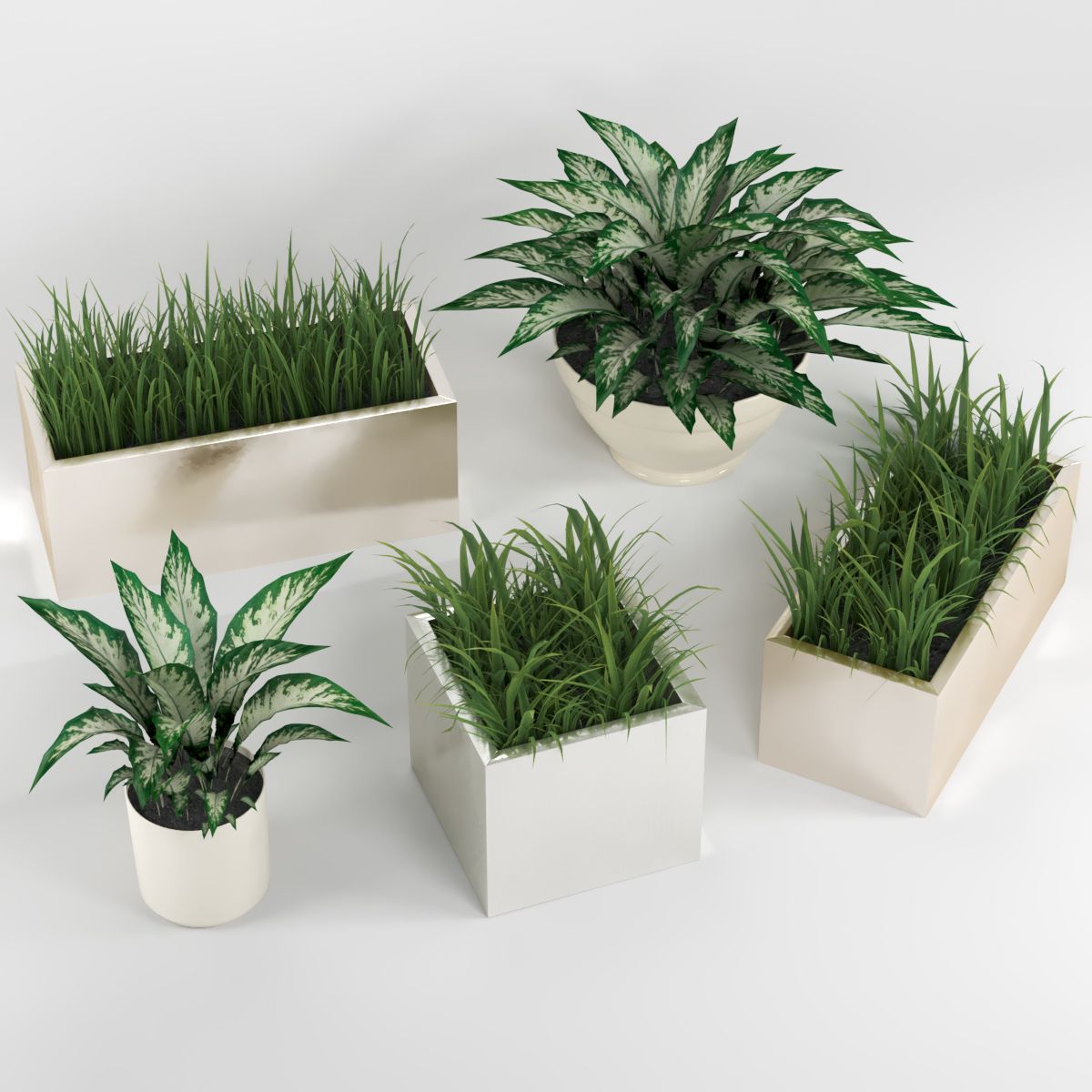 Plantas de interior: um conjunto de vasos de plantas 3d model