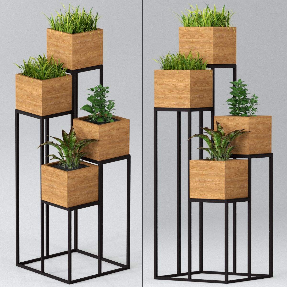 Indoor plants: shelf with plants 3d model