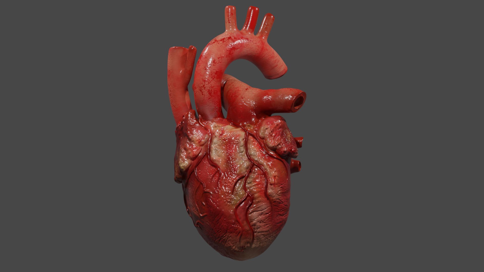 Coeur humain 3d anatomique 3d model