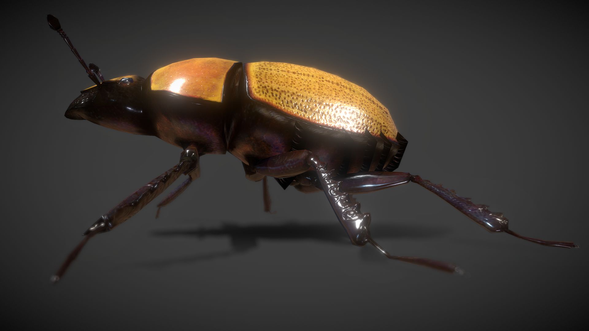 Scarab Beetle Lowpolys 3d model