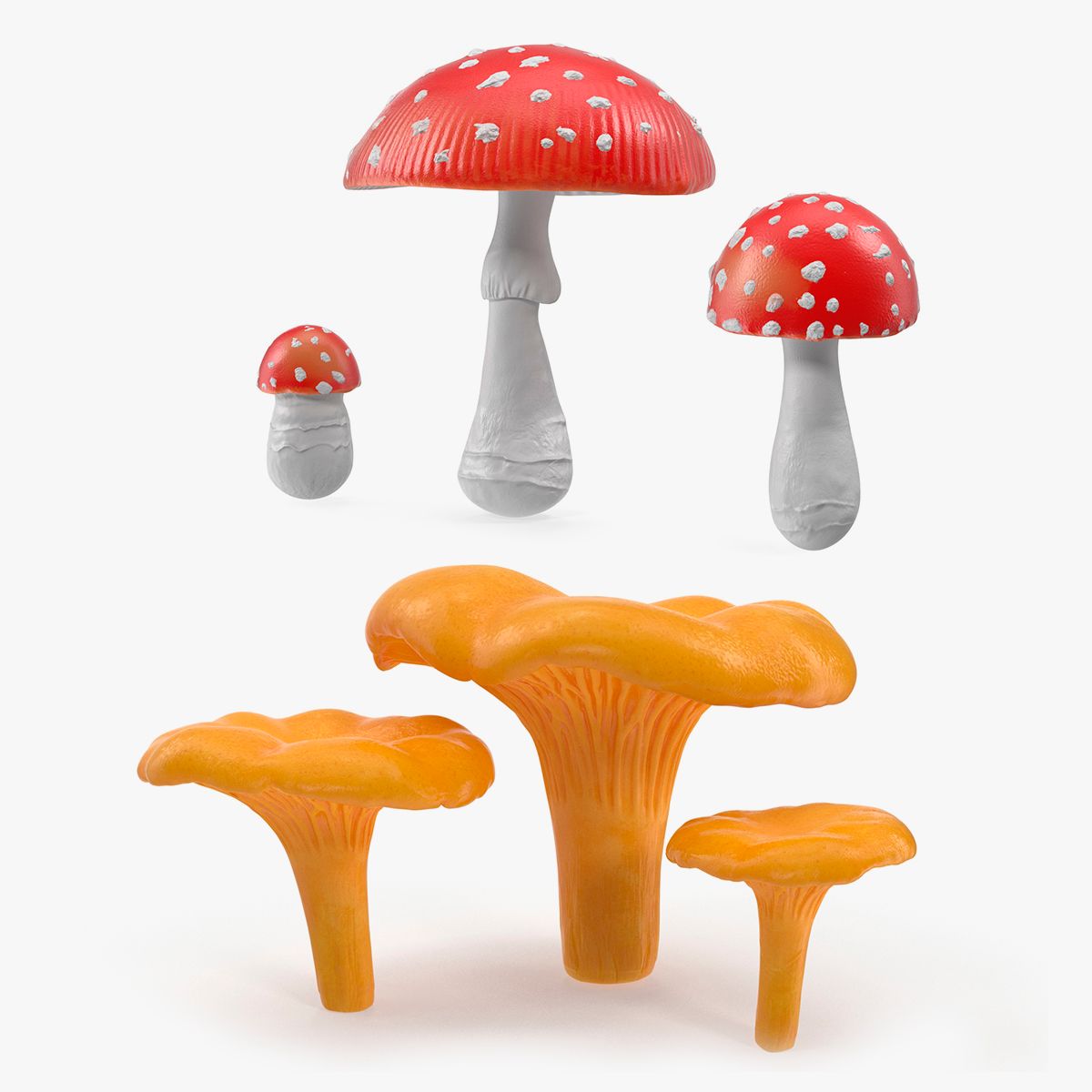 Collection de champignons 3d model