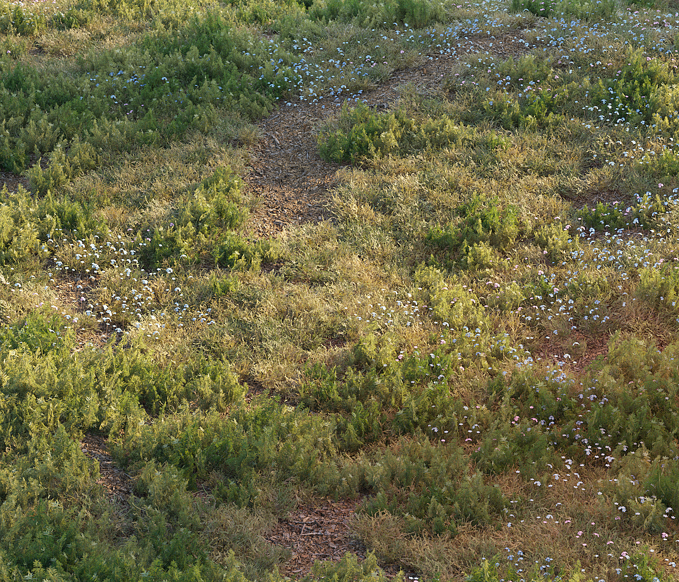 Forest grass 3d model