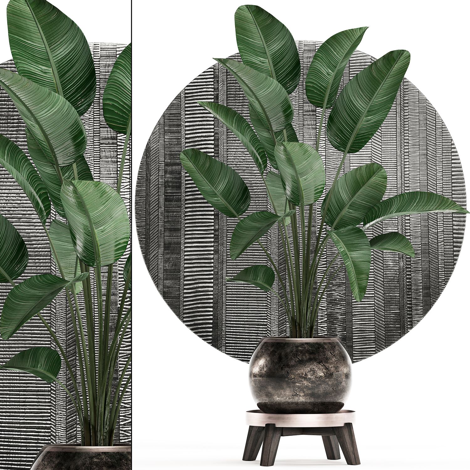 Plantas decorativas em vasos para o interior 471 3d model