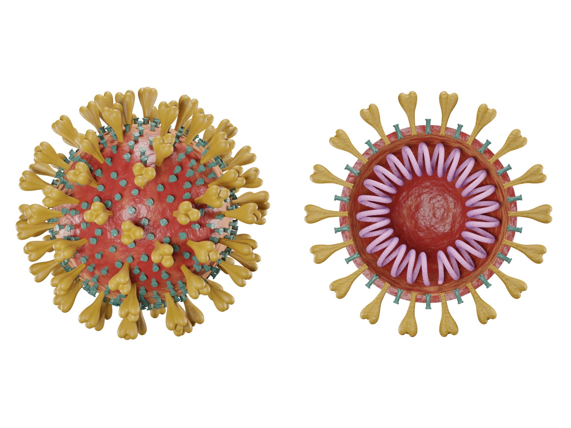 Coronavirus único modelo 3d