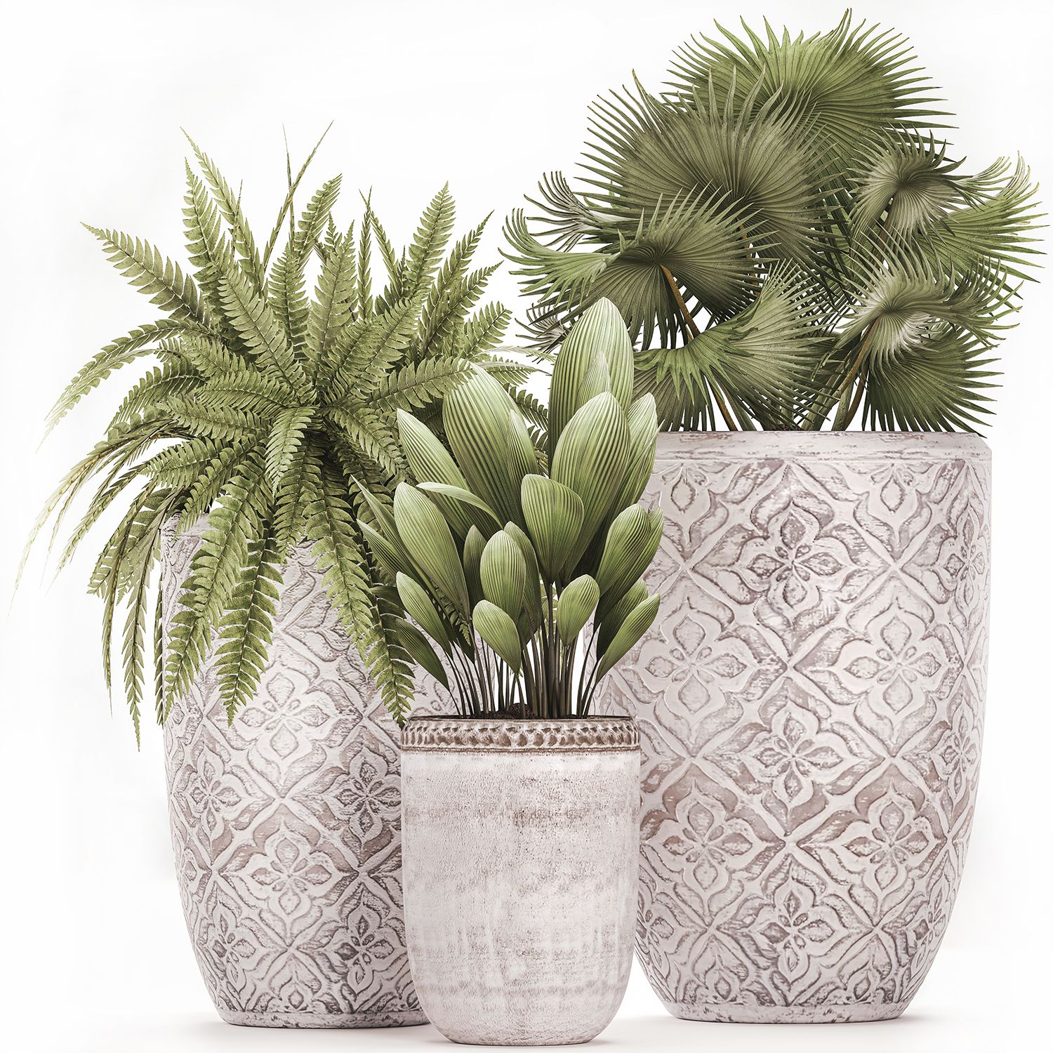 Plantas decorativas em vasos para o interior 478 3d model